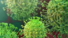 Coronavirus